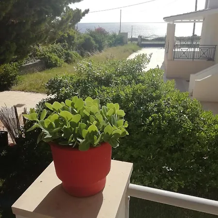 Sea And Stars House *